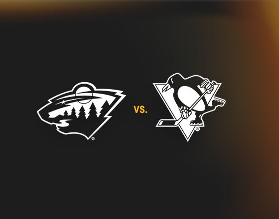 More Info for Penguins vs. Wild