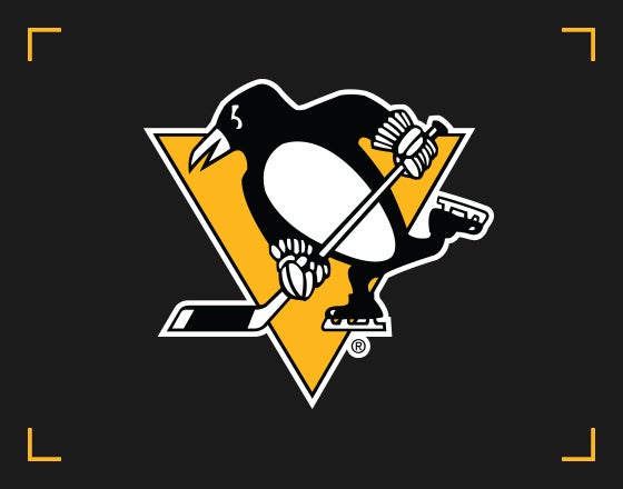 More Info for Penguins vs. Lightning