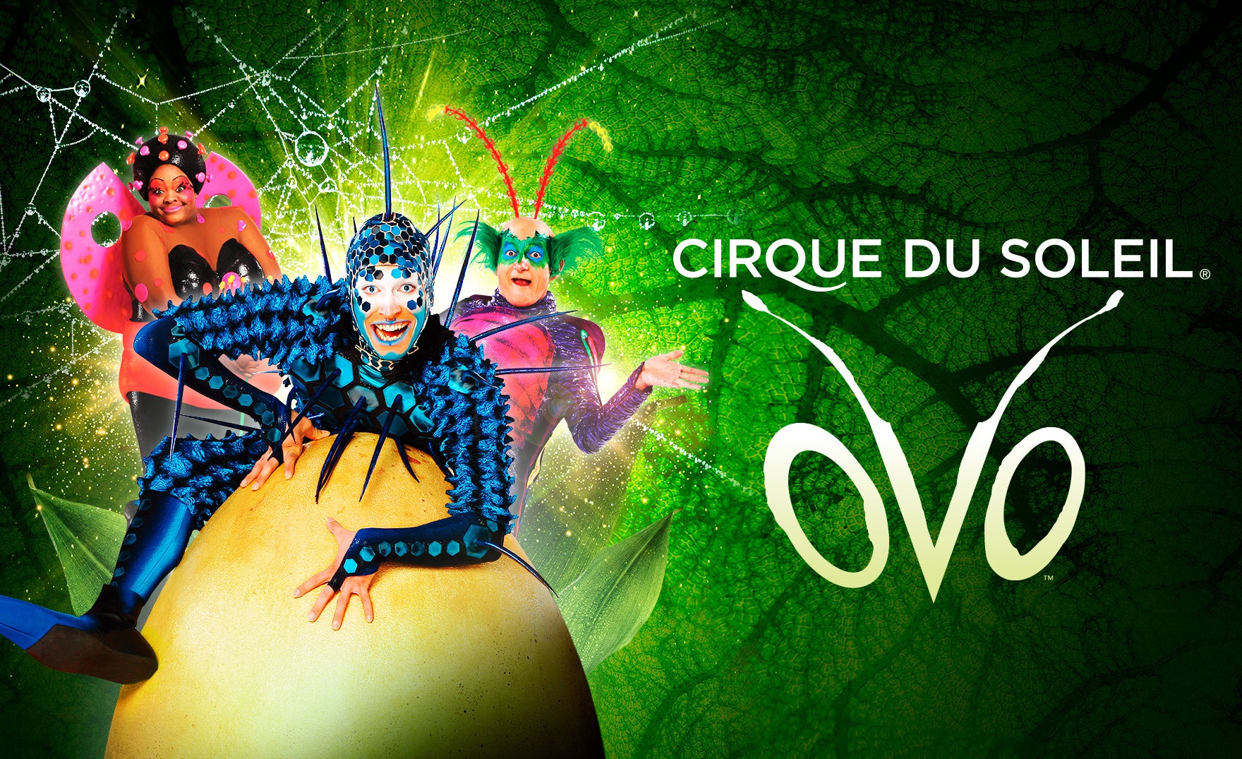 Cirque Du Soleil presents OVO