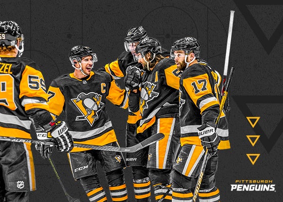 Pittsburgh Penguins PPG Paints Arena NHL Game Night Panoramic Poster (2017)  - Blakeway Worldwide – Sports Poster Warehouse