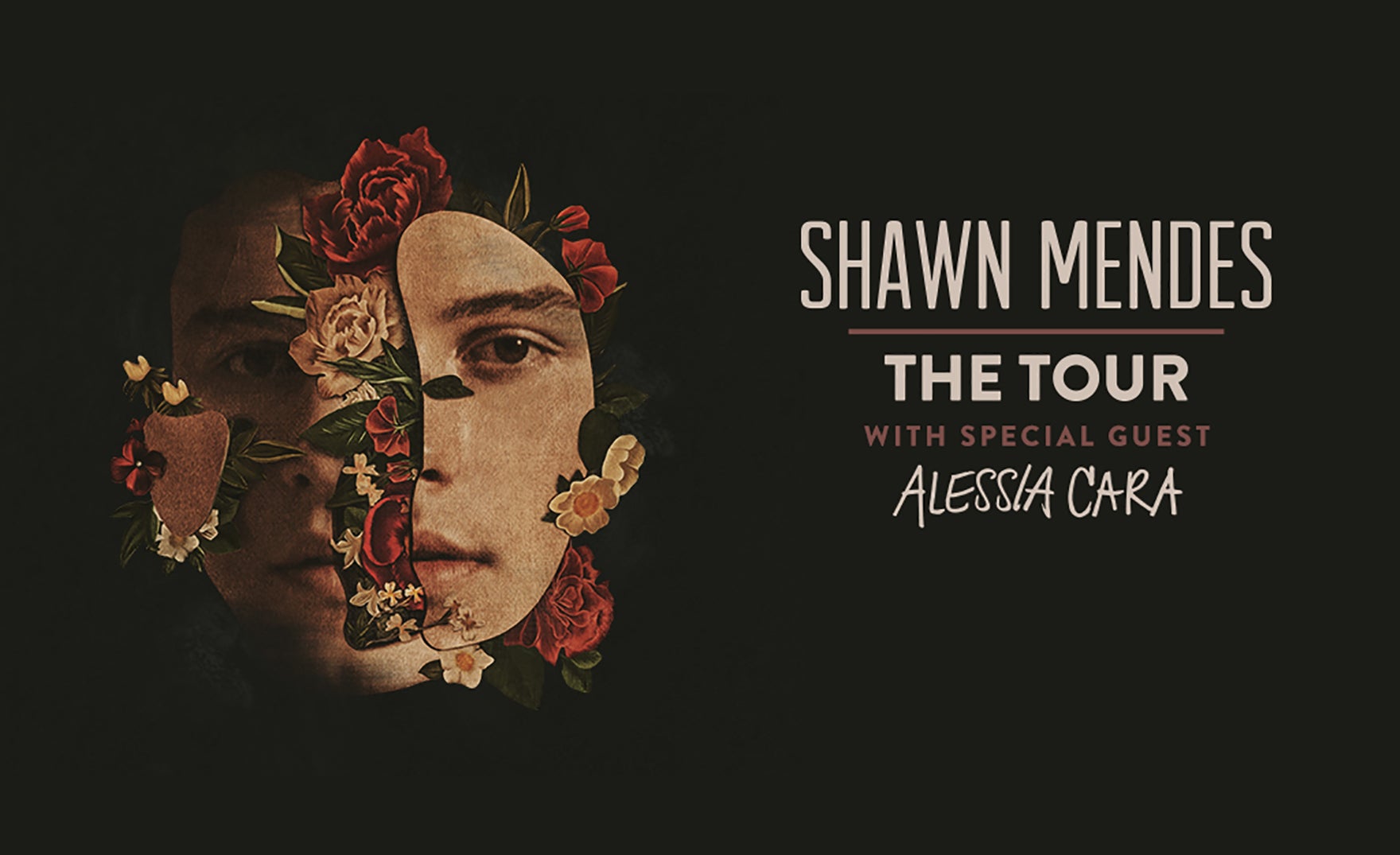 Shawn Mendes: The Tour 