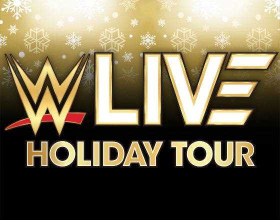 More Info for WWE Holiday Tour Live
