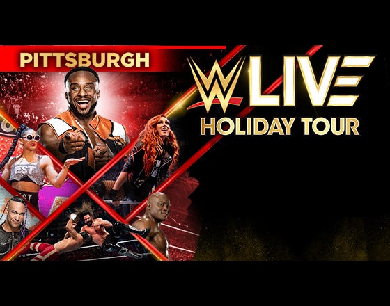 Wwe tour online